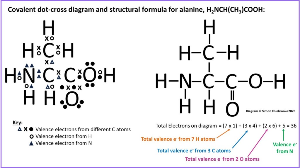 Dot cross diagram of alanine